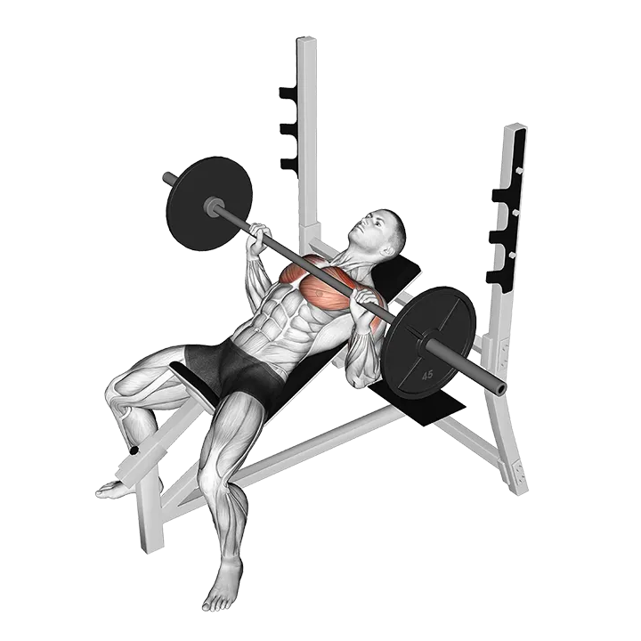 Incline Bench Press