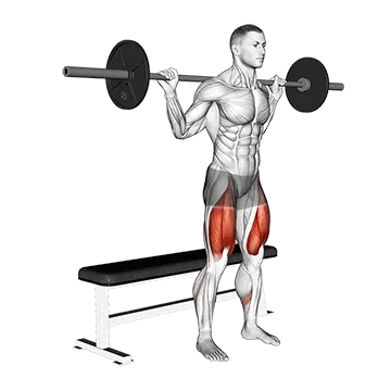 Barbell Bench Squat