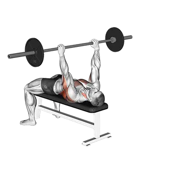 Barbell Bent Arm Pullover