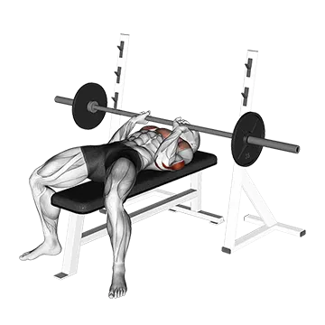 Barbell Close Grip Bench Press