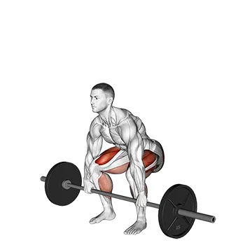 Barbell Deadlift