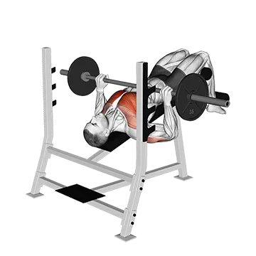 Barbell Decline Bench Press