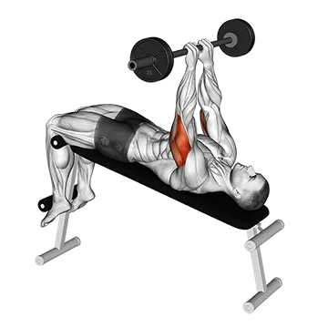 Barbell Decline Close Grip To Skull Press