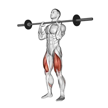 Barbell Front Chest Squat