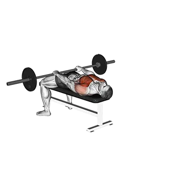 Barbell Front Raise And Pullover