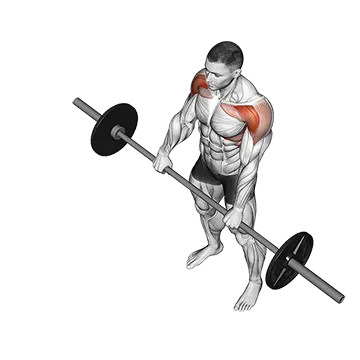 Barbell Front Raise