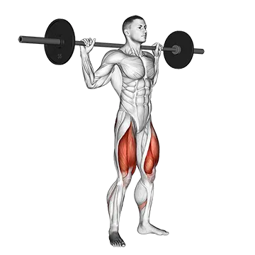 Barbell Full Squat