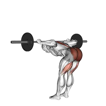Barbell Good Morning