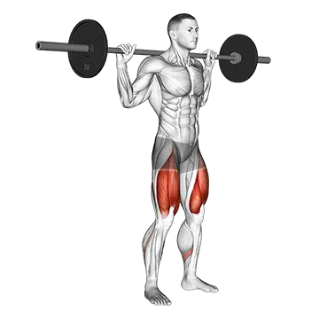 Barbell High Bar Squat