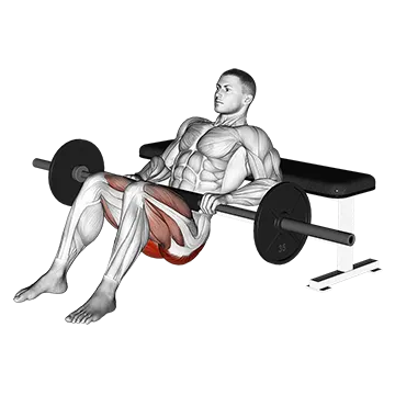 Barbell Hip Thrust