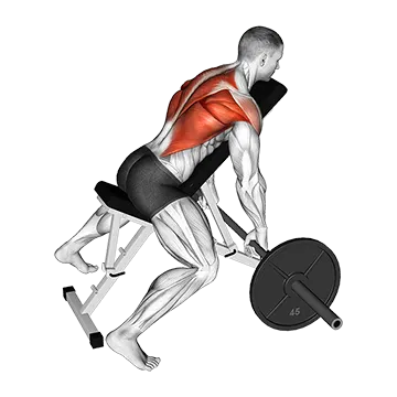 Barbell Incline Row