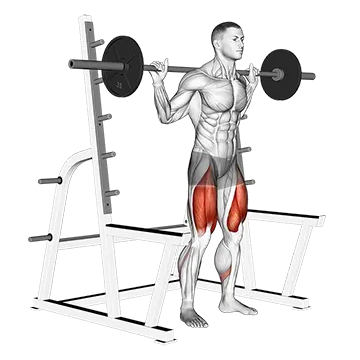 Barbell Low Bar Squat With Rack