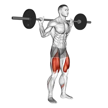 Barbell Low Bar Squat