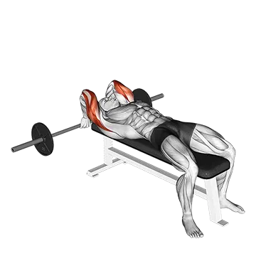 Barbell Lying Back Of The Head Tricep Extension