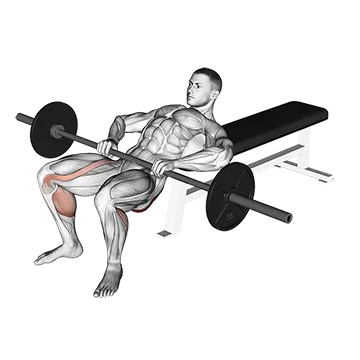 Barbell Lying Lifting (On Hip)