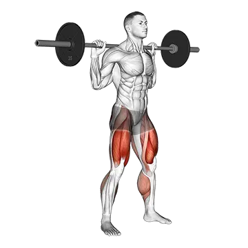 Barbell Olympic Squat