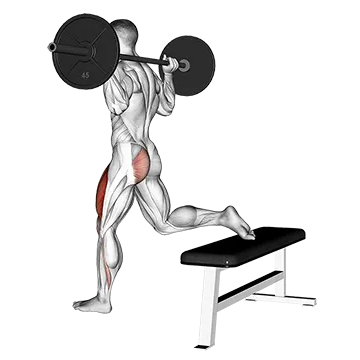 Barbell One Leg Squat