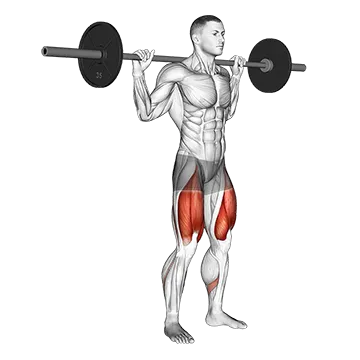 Barbell Quarter Squat