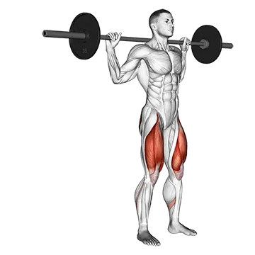 Barbell Rear Lunge