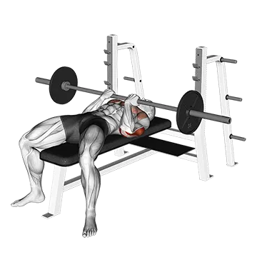 Barbell Reverse Close Grip Bench Press