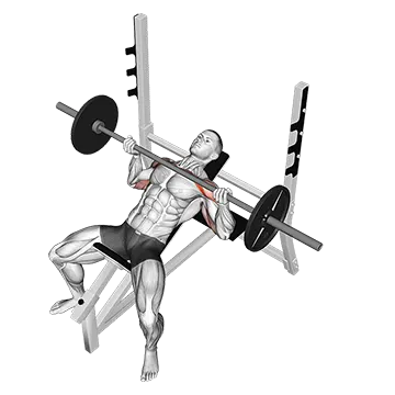Barbell Reverse Grip Incline Bench Press