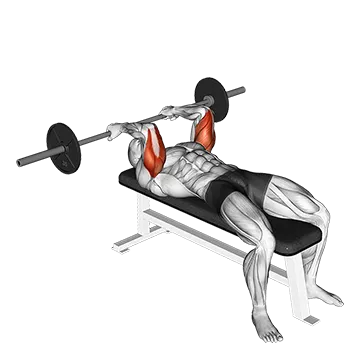 Barbell Reverse Grip Skullcrusher