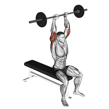 Barbell Seated Overhead Triceps Extension