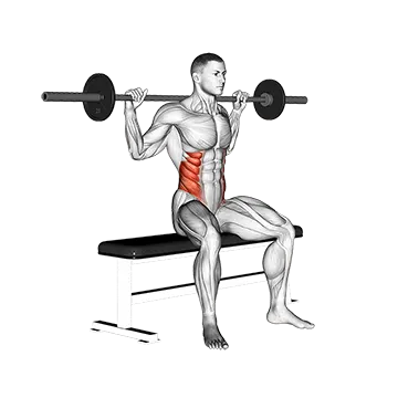 Barbell Seated Twist