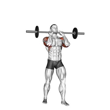 Barbell Standing Close Grip Military Press