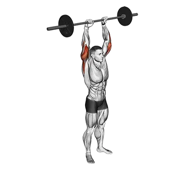 Barbell Standing Overhead Triceps Extension