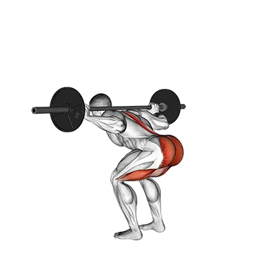 Barbell Stiff Leg Good Morning