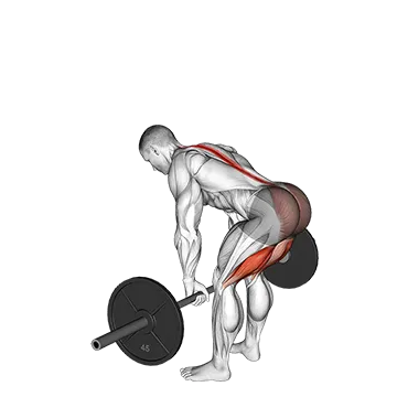 Barbell Straight Leg Deadlift