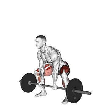 Barbell Sumo Deadlift