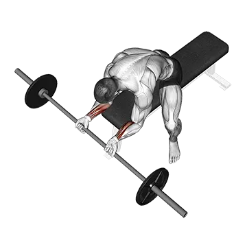 Barbell Wrist Curl