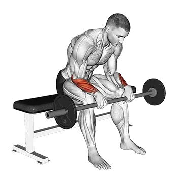 Barbell Wrist Reverse Curl (VERSION 2)