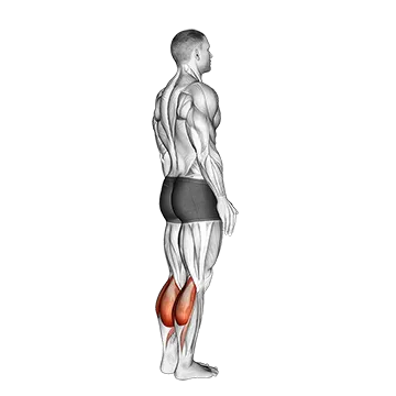 Bodyweight Standing Calf Raise