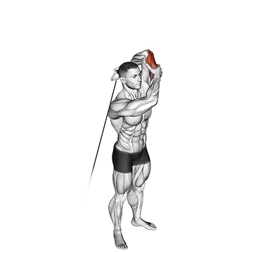 Cable Alternate Triceps Extension