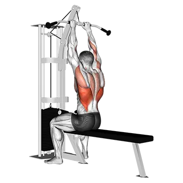 Cable Close Grip Front Lat Pulldown