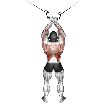 Cable Cross Over Lateral Pulldown