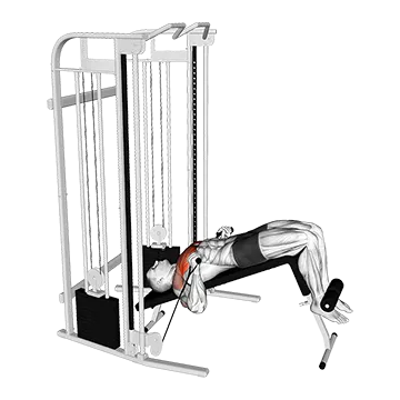 Cable Decline Press