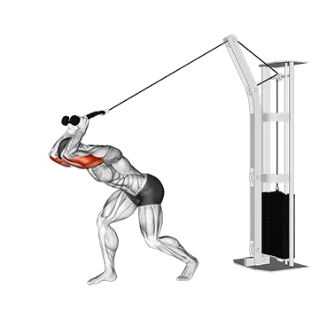 Cable High Pulley Overhead Tricep Extension