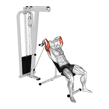 Cable Incline Triceps Extension