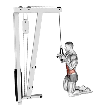 Cable Kneeling Crunch