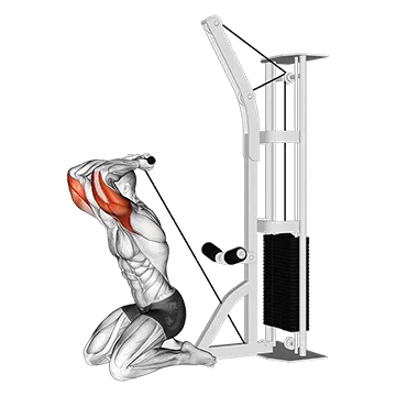 Cable Kneeling Triceps Extension (VERSION 2)