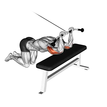 Cable Kneeling Triceps Extension