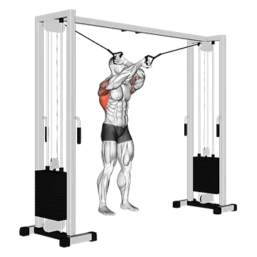 Cable Lat Pulldown Full Range Of Motion