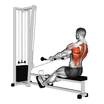 Cable Low Seated Row