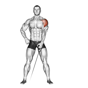 Cable One Arm Lateral Raise
