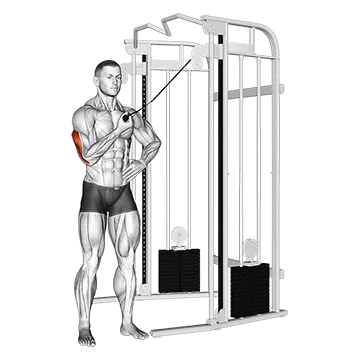 Cable One Arm Side Triceps Pushdown