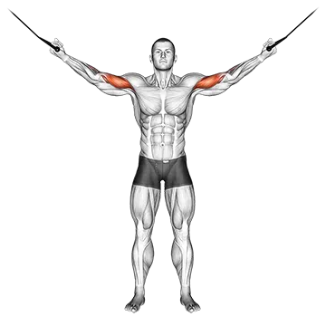 Cable Overhead Curl